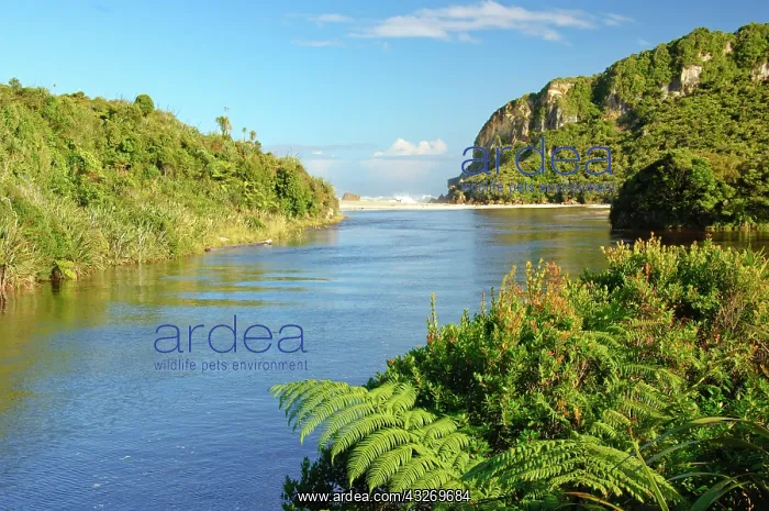 : New Zealand, South Island, Karamea. Kohaihai : New Zealand, South Island, Karamea. Kohaihai