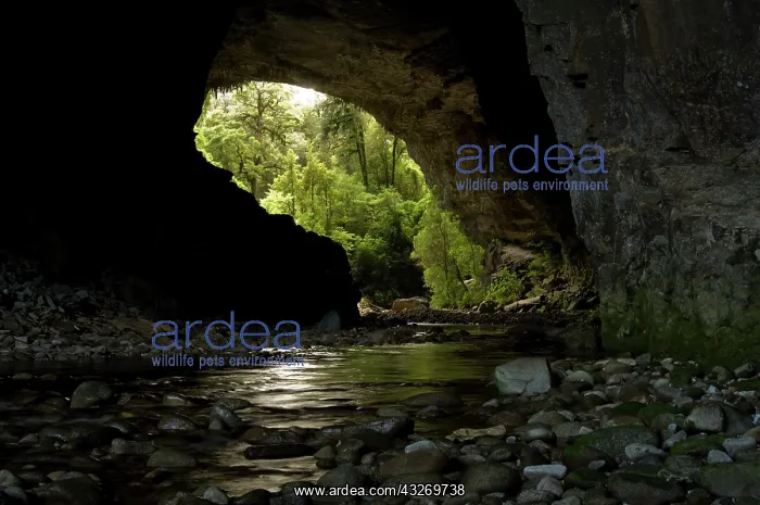 : New Zealand, South Island, Karamea. Opara : New Zealand, South Island, Karamea. Opara