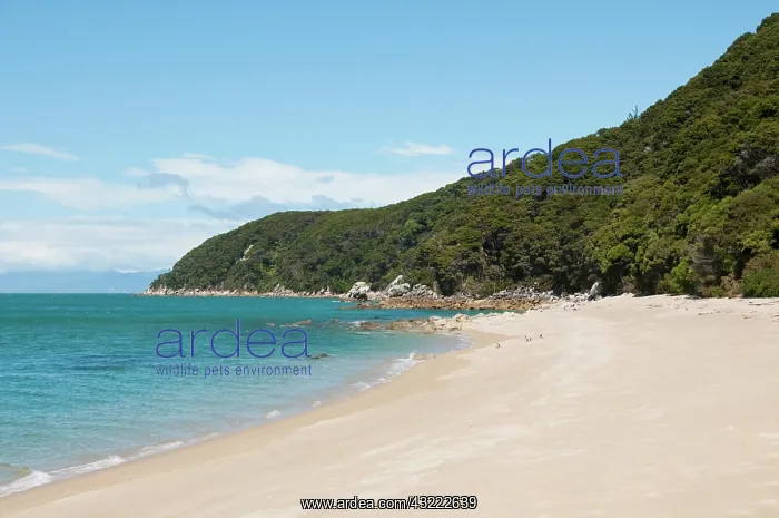 : New Zealand, South Island: Landscape near : New Zealand, South Island: Landscape near