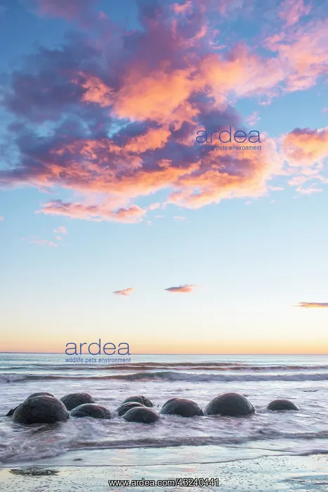 : New Zealand, South Island, Moeraki Boulders : New Zealand, South Island, Moeraki Boulders