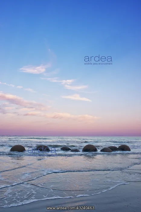: New Zealand, South Island, Moeraki Boulders : New Zealand, South Island, Moeraki Boulders