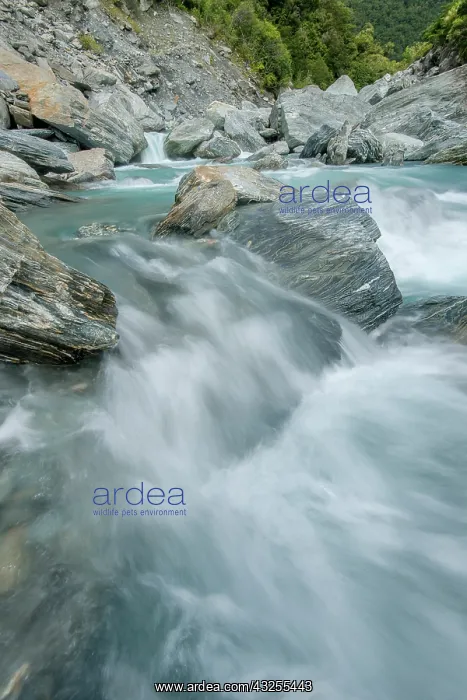 : New Zealand, South Island, Mt. Aspiring : New Zealand, South Island, Mt. Aspiring