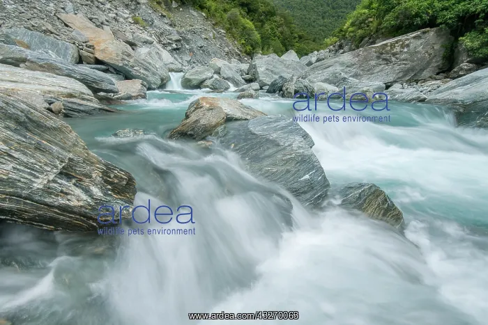 : New Zealand, South Island, Mt. Aspiring : New Zealand, South Island, Mt. Aspiring