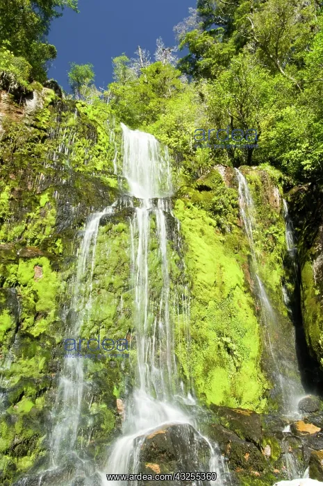 : New Zealand, South Island, Ngakawau. Mangatini : New Zealand, South Island, Ngakawau. Mangatini