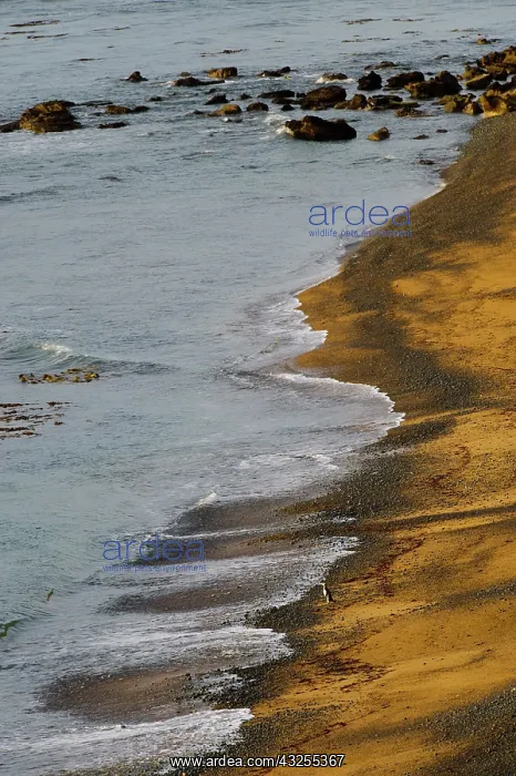 : New Zealand, South Island, Otago, Omaru : New Zealand, South Island, Otago, Omaru