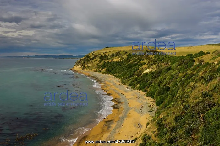 : New Zealand, South Island, Otago, Omaru : New Zealand, South Island, Otago, Omaru