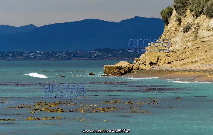 : New Zealand, South Island, Otago, Omaru : New Zealand, South Island, Otago, Omaru