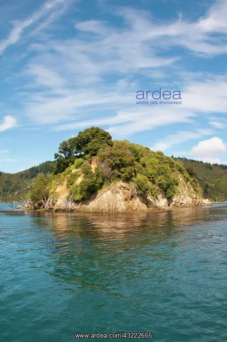 : New Zealand, South Island: Scenic landscape : New Zealand, South Island: Scenic landscape