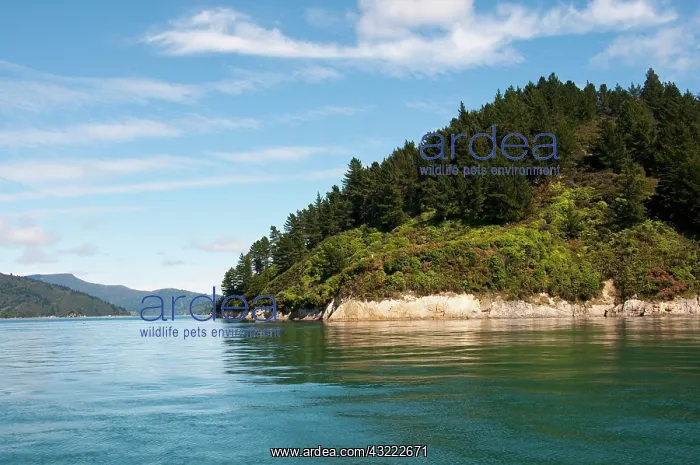 : New Zealand, South Island: Scenic landscape : New Zealand, South Island: Scenic landscape