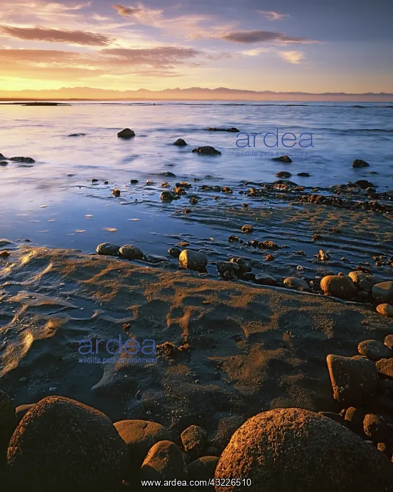 : New Zealand, South Island, Tasman Bay, Sunset : New Zealand, South Island, Tasman Bay, Sunset