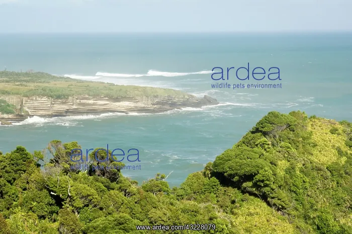 : New Zealand, South Island, West Coast : New Zealand, South Island, West Coast