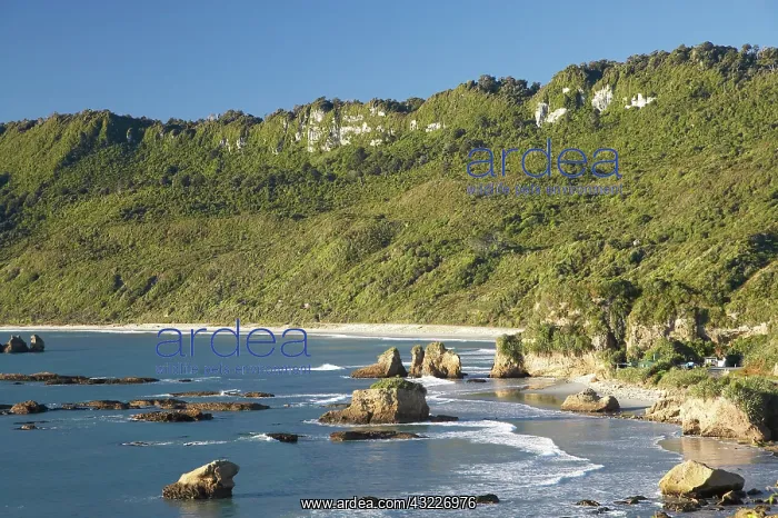 : New Zealand, South Island, West Coast, Coast : New Zealand, South Island, West Coast, Coast
