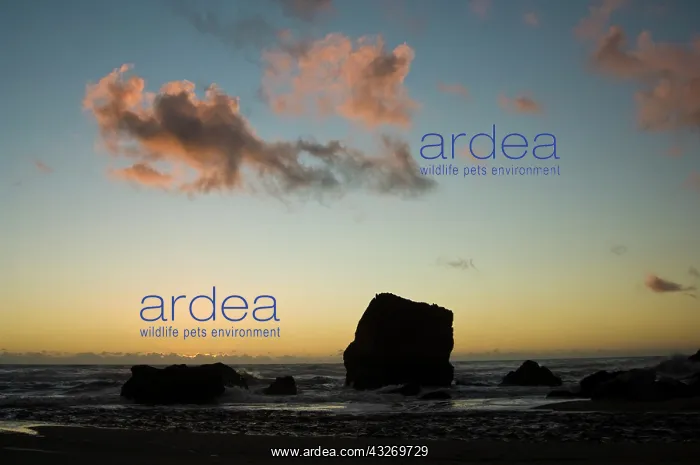 : New Zealand, South Island, West Coast, Karamea : New Zealand, South Island, West Coast, Karamea