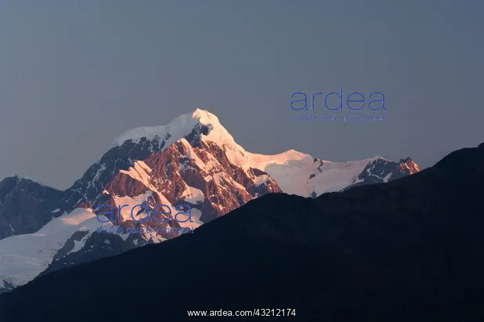 : New Zealand, South Island, Westland National : New Zealand, South Island, Westland National
