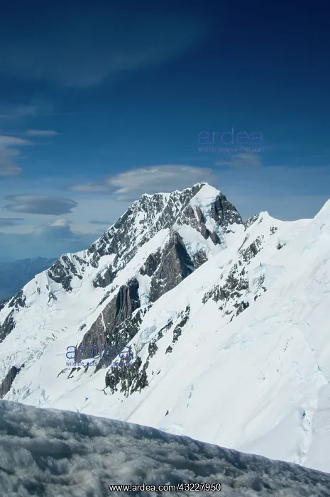 : New Zealand, South Island, Westland National : New Zealand, South Island, Westland National