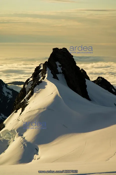 : New Zealand, South Island, Westland National