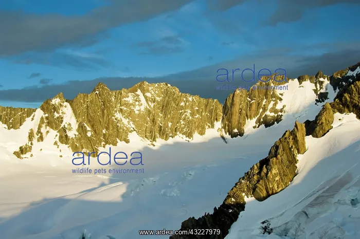 : New Zealand, South Island, Westland National : New Zealand, South Island, Westland National
