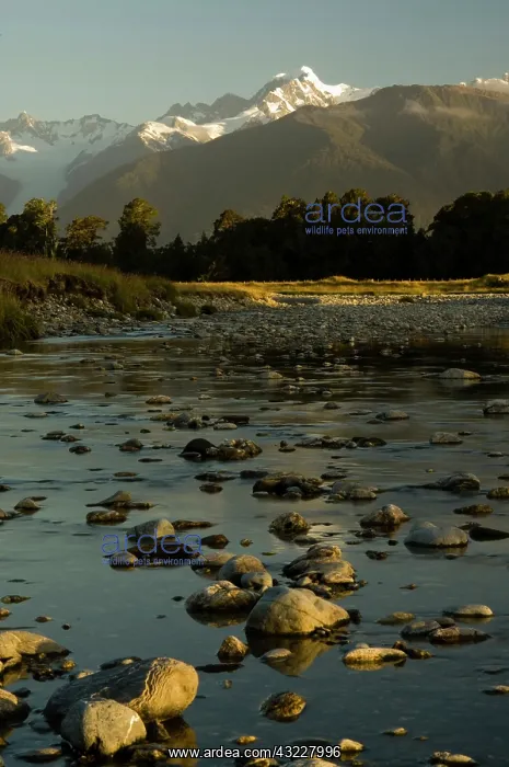 : New Zealand, South Island, Westland National : New Zealand, South Island, Westland National