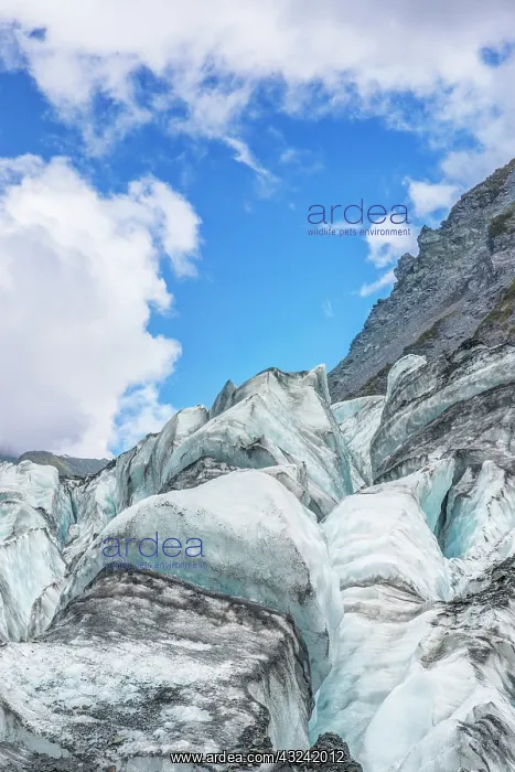: New Zealand, South Island, Westland National : New Zealand, South Island, Westland National