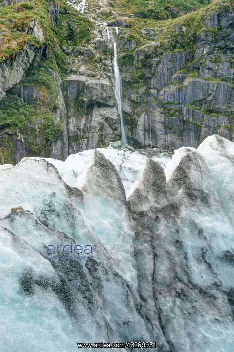 : New Zealand, South Island, Westland National : New Zealand, South Island, Westland National