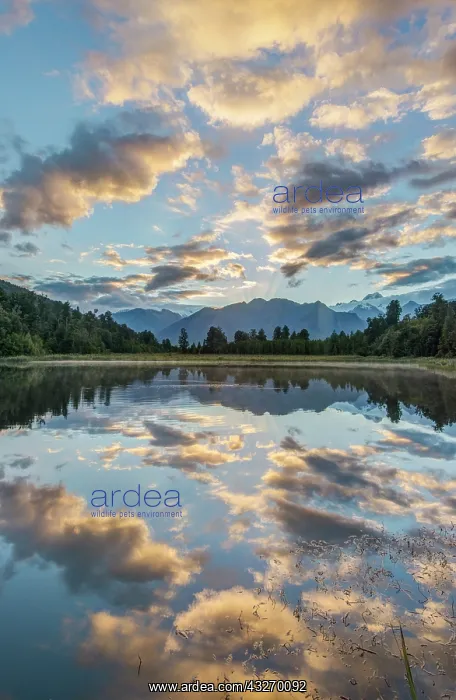 : New Zealand, South Island, Westland National : New Zealand, South Island, Westland National