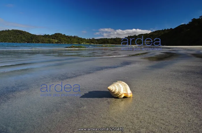 : New Zealand, Southland, Stewart Island : New Zealand, Southland, Stewart Island