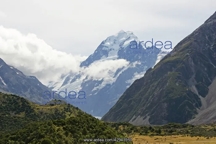 : New Zealand - spectacular scenery of glacial valley : New Zealand - spectacular scenery of glacial valley