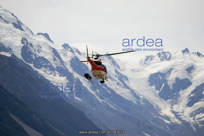 : New Zeland - Helicopter flight over snow capped : New Zeland - Helicopter flight over snow capped