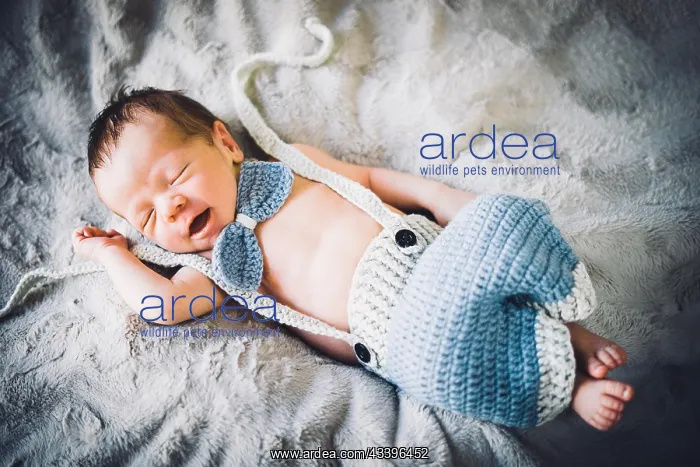 : A newborn baby boy sleeping in blue and grey knitted b : A newborn baby boy sleeping in blue and grey knitted b