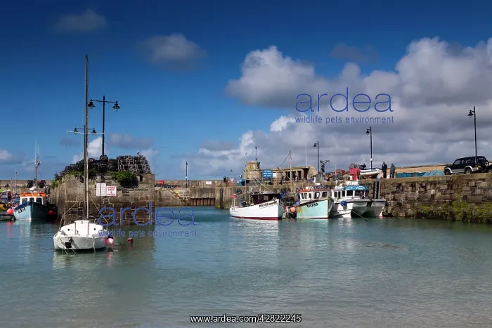  : Newquay Harbour