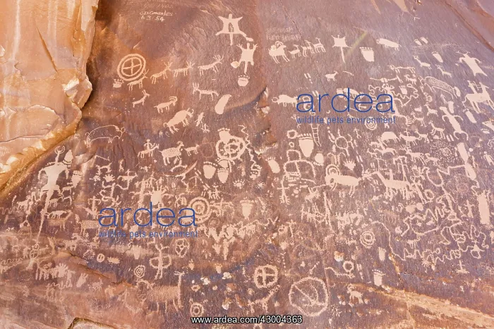  : Newspaper Rock National Historic Site
