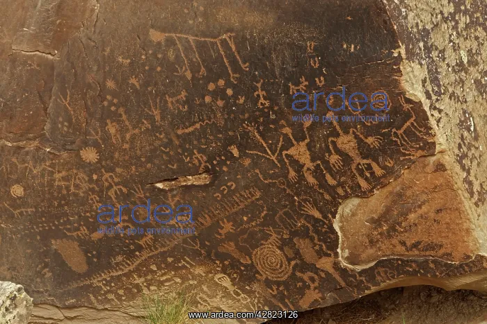  : Newspaper Rock petroglyphs