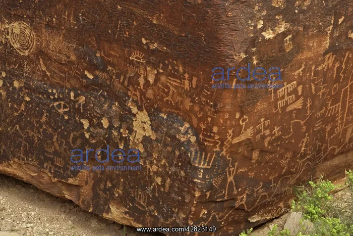 : Newspaper Rock petroglyphs : Newspaper Rock petroglyphs