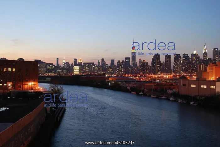 : Newtown Creek and Manhattan Skyline : Newtown Creek and Manhattan Skyline