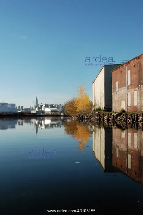 : Newtown Creek Superfund Site, NYC : Newtown Creek Superfund Site, NYC