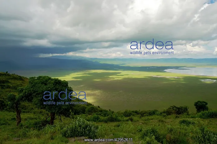 : Ngorongoro Crater - view from the rim : Ngorongoro Crater - view from the rim
