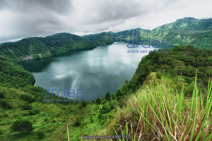 : Ngozi Crater Lake : Ngozi Crater Lake