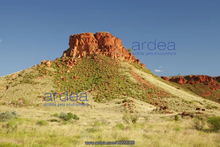 : Ngumban Cliff, Great Northern Highway, near : Ngumban Cliff, Great Northern Highway, near