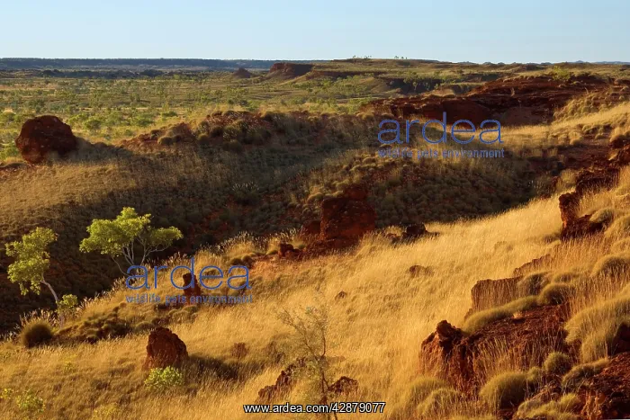: Ngumban Cliffs - view towards the terraced red : Ngumban Cliffs - view towards the terraced red