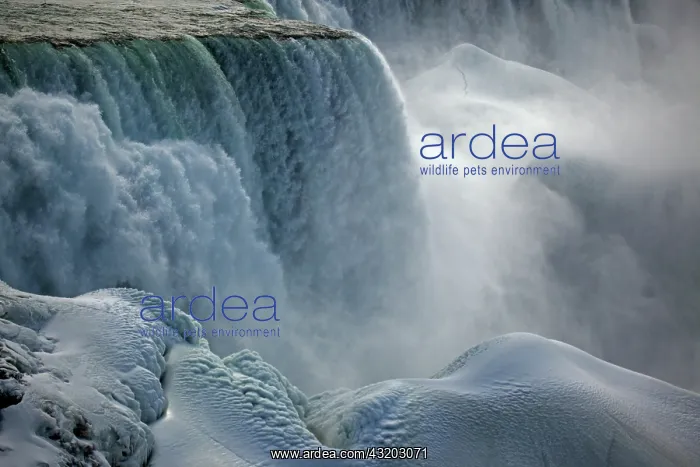  : Niagara Falls - Close-up in winter of water cascading