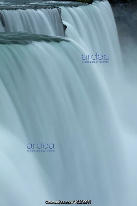 : Niagara falls, New York, USA, American falls Niagara fal : Niagara falls, New York, USA, American falls Niagara fal