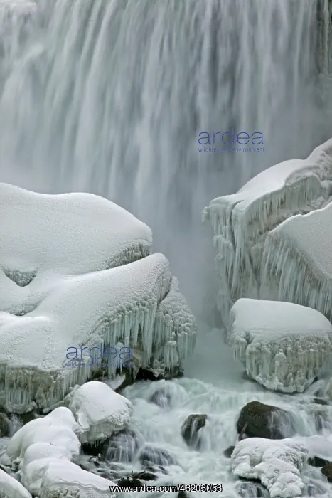: Niagara Falls - View of American Falls from Canada : Niagara Falls - View of American Falls from Canada