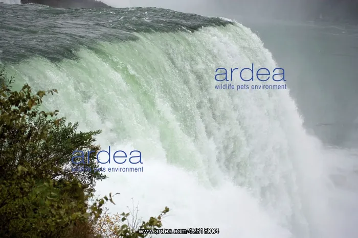 : Niagra Falls - Comprised of the American Falls : Niagra Falls - Comprised of the American Falls