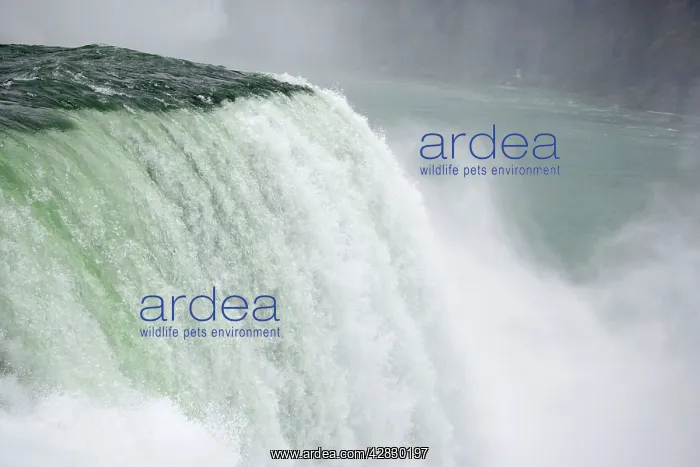 : Niagra Falls - Comprised of the American Falls-the : Niagra Falls - Comprised of the American Falls-the