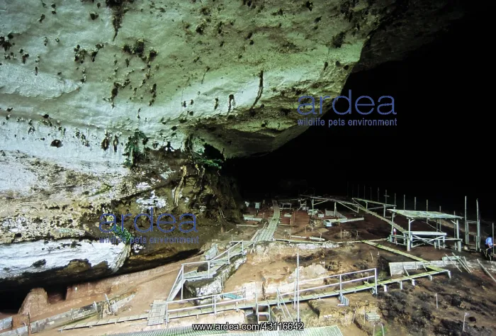 : Niah Great Cave, Sarawak, Malaysia : Niah Great Cave, Sarawak, Malaysia