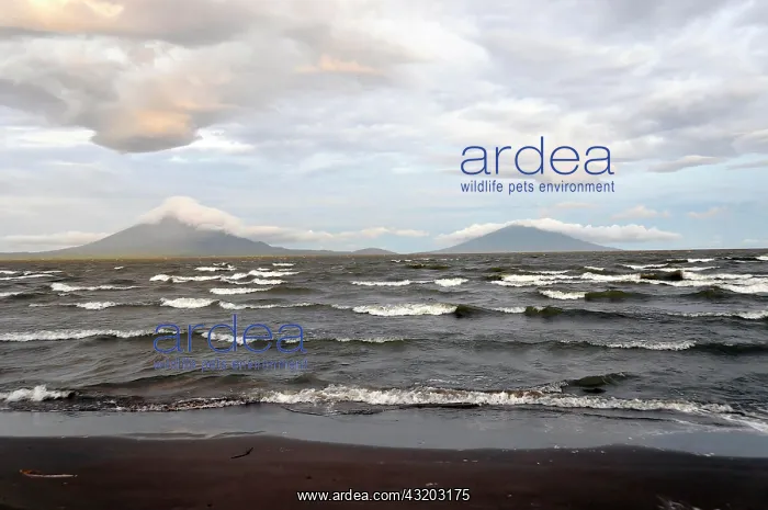 : Nicaragua Lake, island of Ometepe at back, Nicaragua : Nicaragua Lake, island of Ometepe at back, Nicaragua