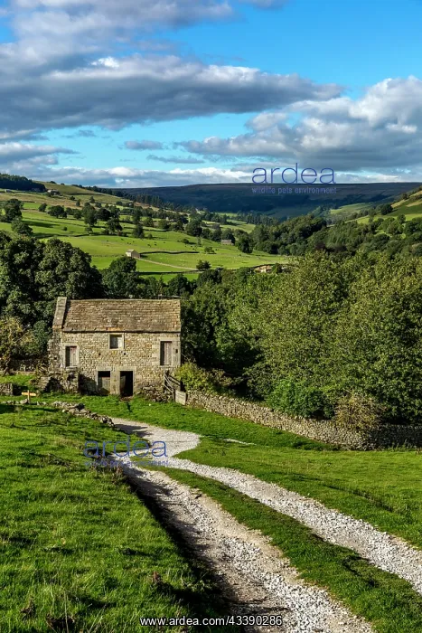 : Nidderdale - Blayshaw Barn - Yorkshire - UK : Nidderdale - Blayshaw Barn - Yorkshire - UK