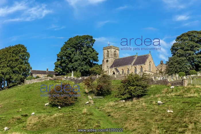  : Nidderdale - Middlesmoor Chruch - Yorkshire - UK