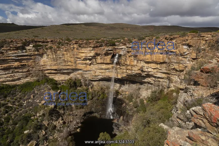 : The Nieuwoudtville Waterfall, on the Doorn River : The Nieuwoudtville Waterfall, on the Doorn River