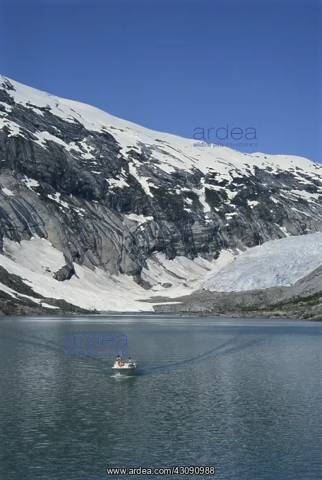 : Nigard Glacier, Norway : Nigard Glacier, Norway